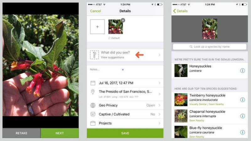 iNaturalist