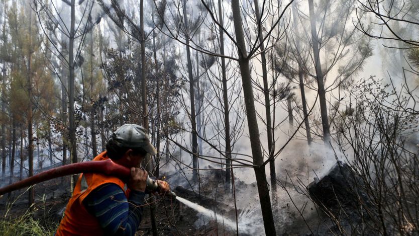 Hombre con una manguera que lanza un potente chorro de agua intenta combatir el avance del fuego en un bosque