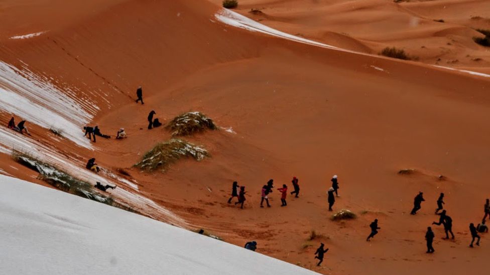 Personas se deslizan en la nieve en el desierto del Sahara. (Foto: gentileza Hamouda Ben jerad)