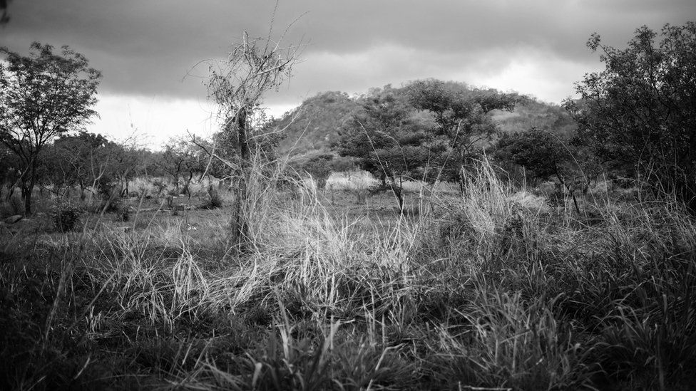 The foothills of the Gurue mountains