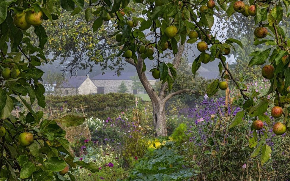 Un jardín silvestre con manzanos y flores.