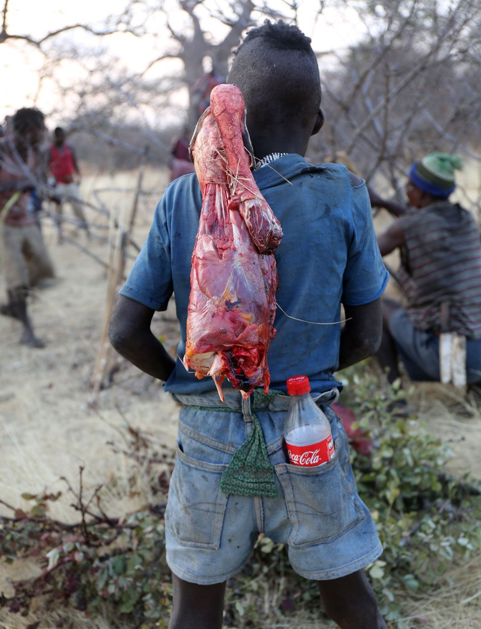 Menino hadza com um pedaço de carne crua e uma coca-cola