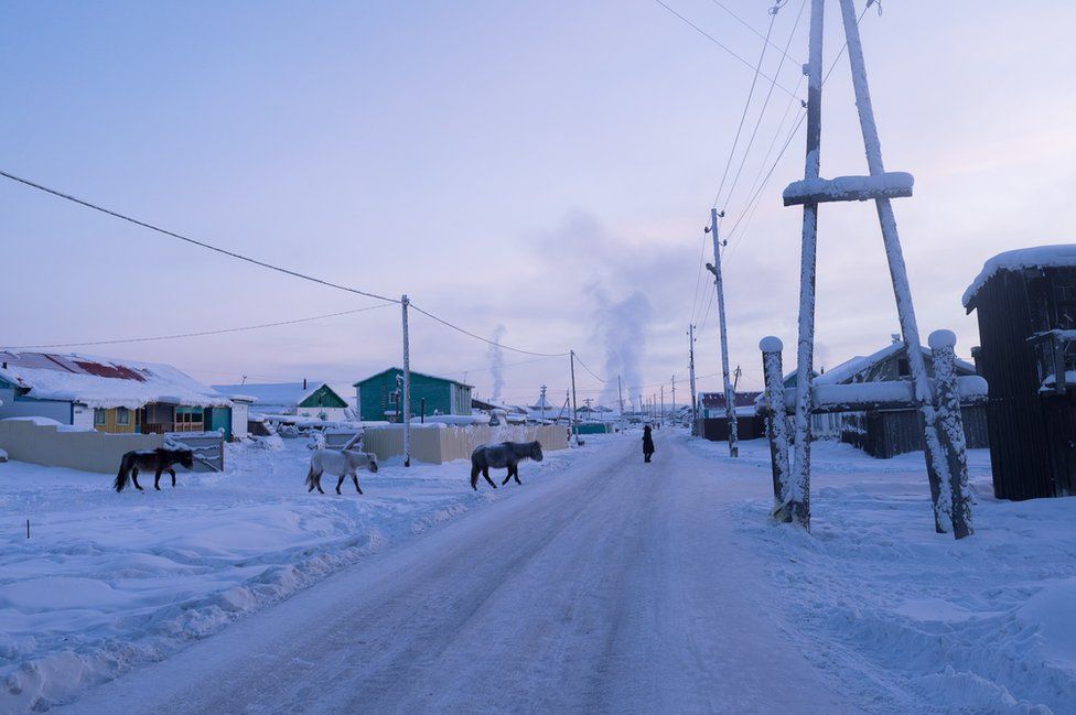 Three horses cross one of the main streets. Armed with thick fur and a layer of fat grown during the autumn, the horses and the dogs of the village spend the winter outside as temperatures often reach -50°C (-58°F).