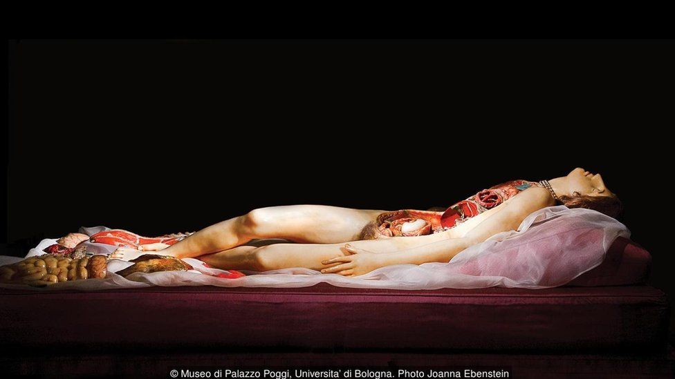 Museo di Palazzo Poggi, Universita' di Bologna. Photo Joanna Ebenstein