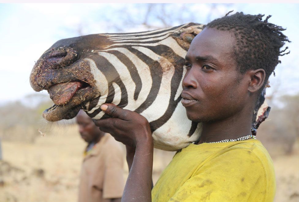 Homem hadza com a cabeça de uma zebra caçada