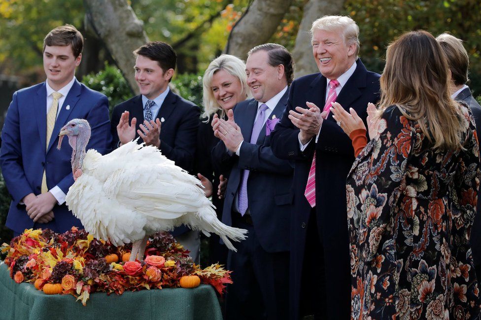 US President Donald Trump participates in the 70th National Thanksgiving turkey pardoning ceremony in the Rose Garden of the White House in Washington