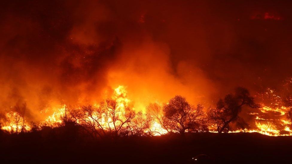 Fire with trees