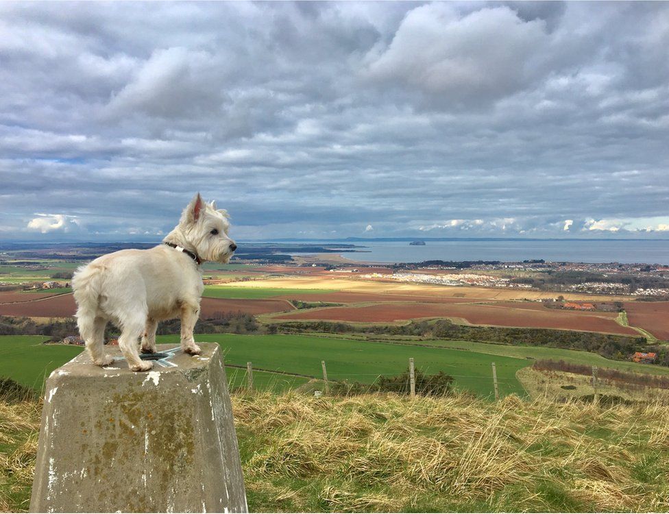 your pictures of scotland bbc news your pictures of scotland bbc news