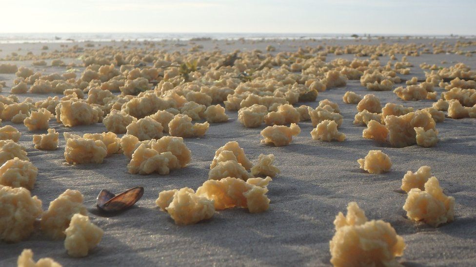 Parafina aparecida en la costa norte de Francia