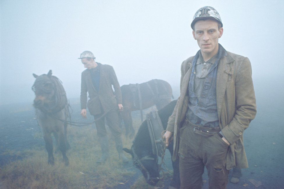 Даремські шахтарі зі своїми робочими поні, 1965 р.