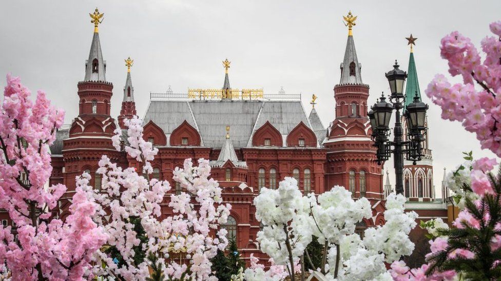 Искусственная Сакура на красной площади. Искусственные Сакуры в Москве. Фото Москвы с сакурой на красной площади Питера.