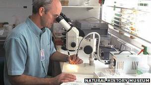 Martin Hall (Foto: Museu de História Natural de Londres)