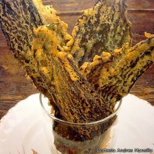 Plato hecho con algas. Foto cortesía del científico chileno Andrés Mansilla -de la Universidad de Magallanes.