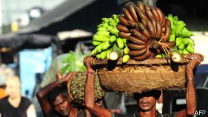 Hombre llevando bananas en Sri Lanka