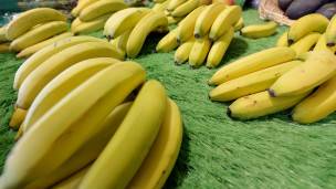 Bananas en un mercado en Nantes, Francia.