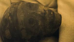 La momia del rey Tutankamón 