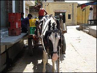قصة حب في الهند