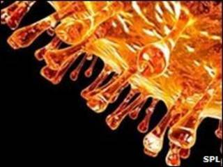 صورة مجهرية للفيروس المتسبب في إنفلونزا الخنازير