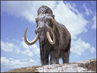 Mammoth tahan hidup di tempat dingin karena haemoglobin istimewa, kata ilmuwan