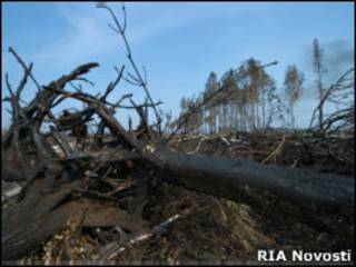 Последствия пожара в деревне Васютино Павлово-Посадского района Московской области