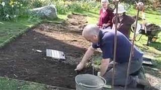 Excavación en busca del elefante de Tregaron