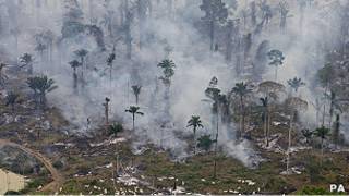 Desmatamento na Amazônia. Foto: PA