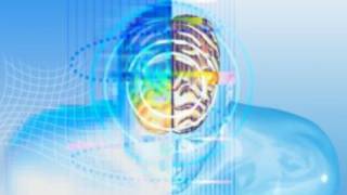 Cerebro