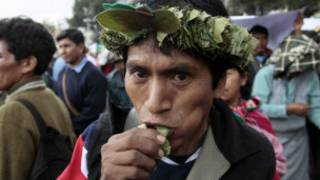 Un hombre masca hoja de coca
