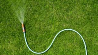 hose