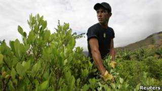 coca Colombia