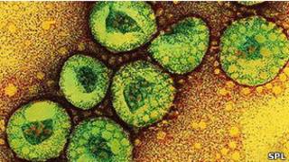 Nuevo coronavirus
