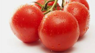 Tomates