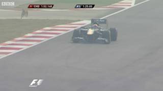 Perros callejeros en la F1