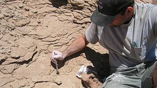 descubrimiento de Alnashetri