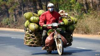 Nông dân chở mít ở Đắk Lắk