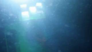 Mariana Trench