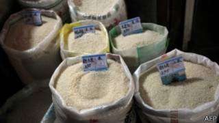 Rice