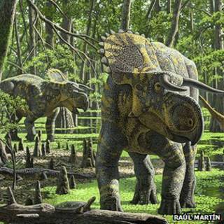 Nasutoceratops