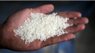 rice