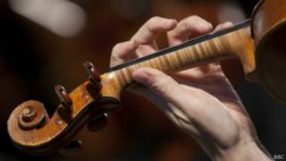 violin