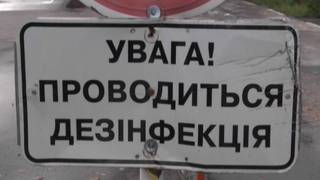 Кордон