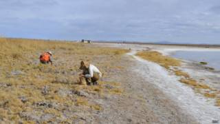 Salar de Atacama