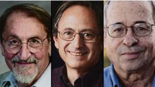 Martin Karplus, Michael Levitt ve Arieh Warshel