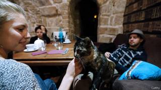 Café de Gatos