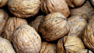 Kacang