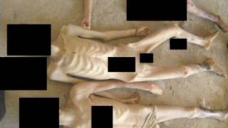 Informe sobre abusos en Siria.