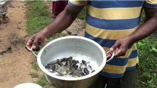 Pobladores en Sri Lanka