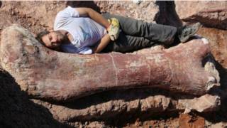 dinosaurus argentina