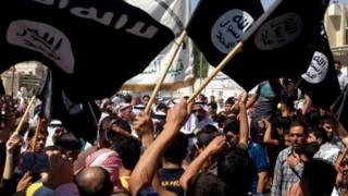 Partidarios de ISIS