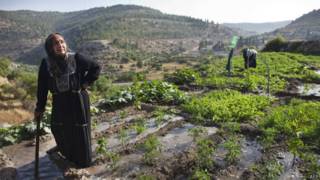Mujer en zona de cultivo en Battir (foto de 2012)